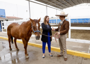 SMDIF Puebla entrega a Fundación Corcel dos equinos para su retiro