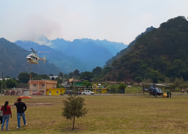 Gobierno de Puebla combate incendio forestal en Quimixtlán