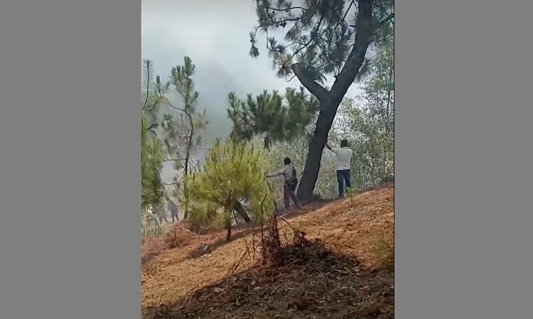 Suspenden clases en Cuautempan por incendio forestal