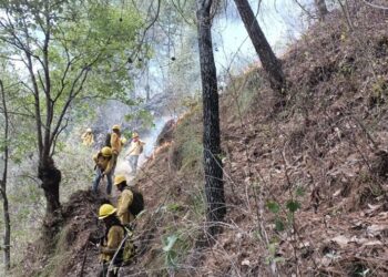 Confirman liquidación de incendios forestales en Cuetzalan, Zoquitlán y Huauchinango