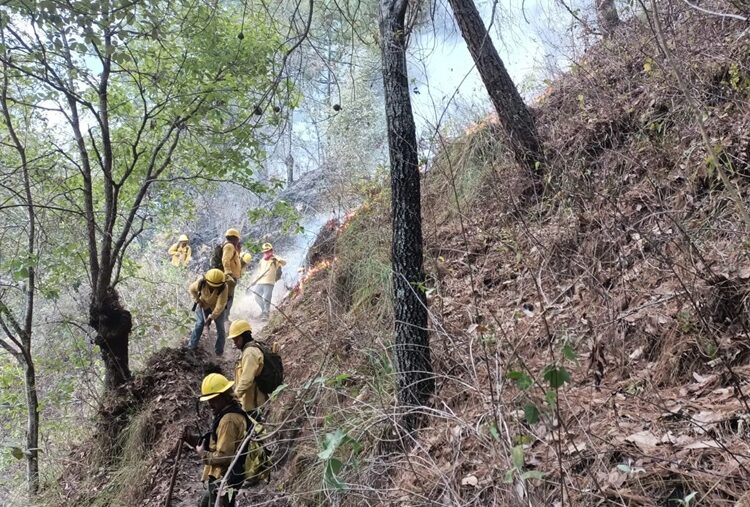Confirman liquidación de incendios forestales en Cuetzalan, Zoquitlán y Huauchinango