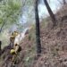 Confirman liquidación de incendios forestales en Cuetzalan, Zoquitlán y Huauchinango