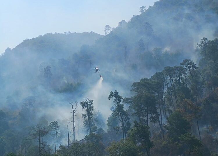 3 helicópteros y 400 brigadistas combaten incendios