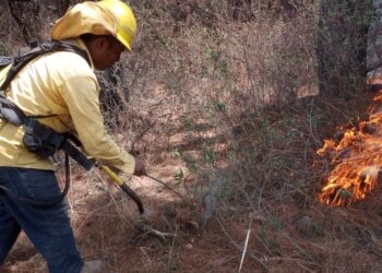 Todos los incendios forestales se han sofocado