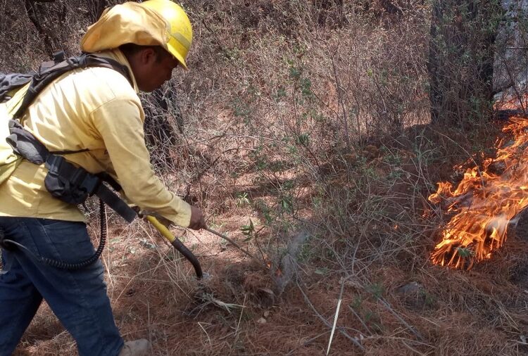 Todos los incendios forestales se han sofocado