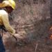 Todos los incendios forestales se han sofocado
