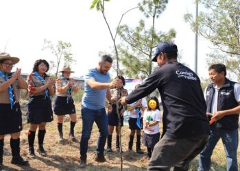 Adán Domínguez arranca jornada de reforestación