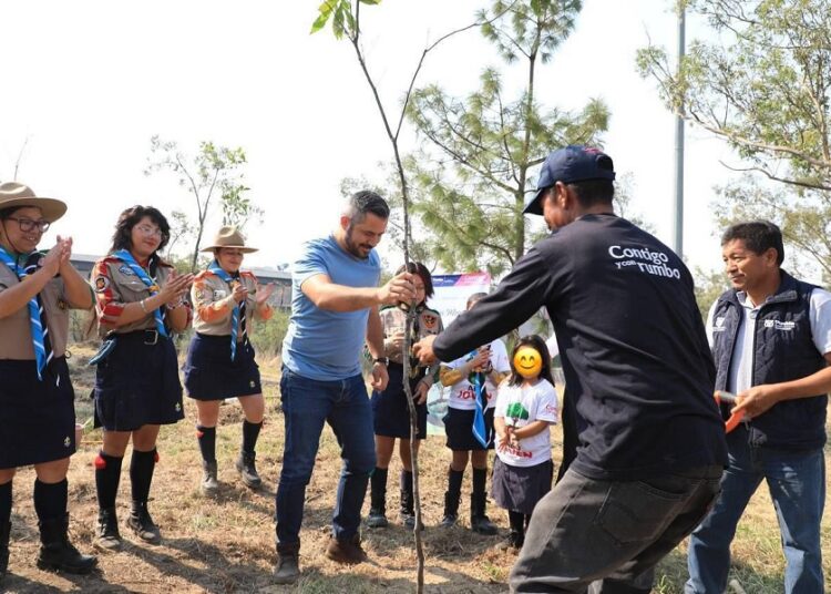 Adán Domínguez arranca jornada de reforestación