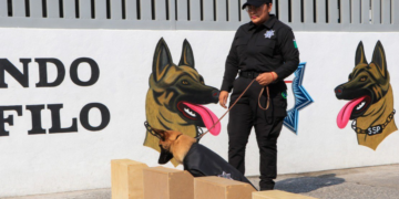 Comando Canófilo obtiene certificación internacional