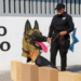 Comando Canófilo obtiene certificación internacional