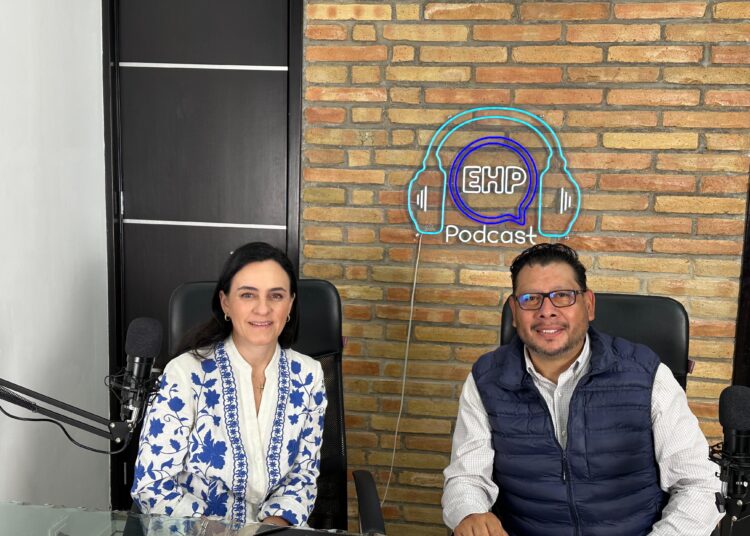 Mónica Rodríguez Della Vecchia, la diputada más productiva en la LXI Legislatura