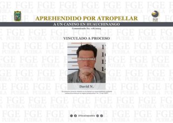 Aprehenden a hombre por delitos contra los animales