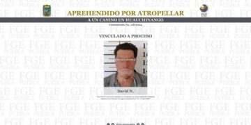 Aprehenden a hombre por delitos contra los animales