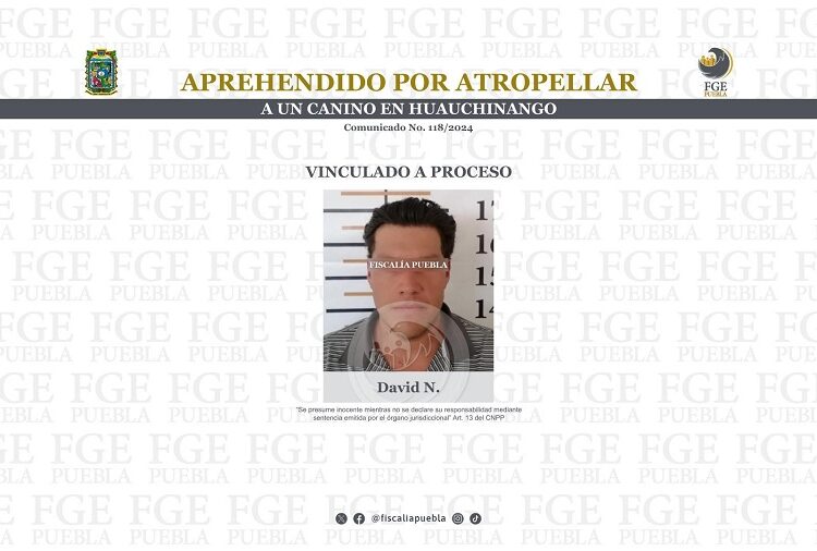 Aprehenden a hombre por delitos contra los animales