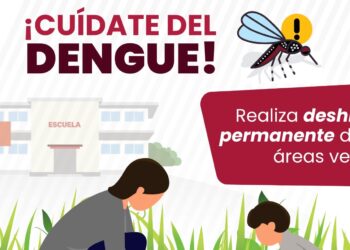Registra Puebla 12 nuevos contagios de dengue en las últimas 24 horas