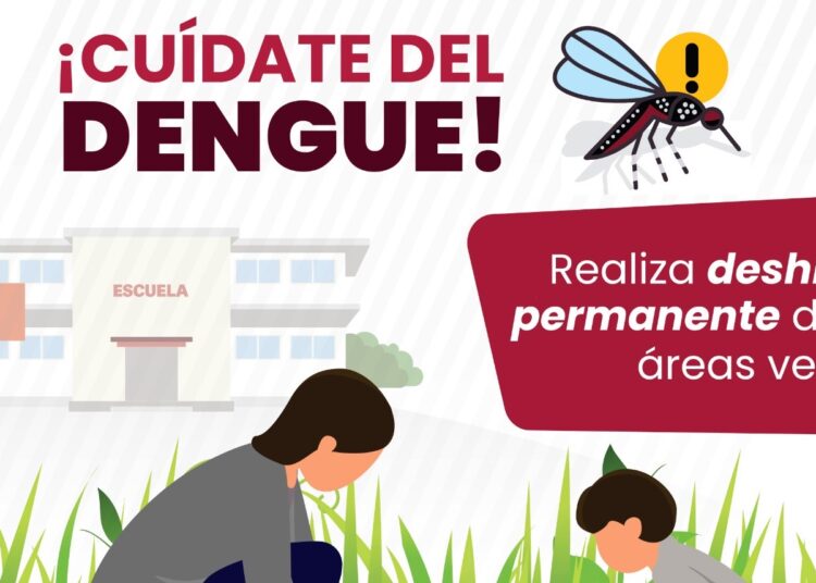 Registra Puebla 12 nuevos contagios de dengue en las últimas 24 horas