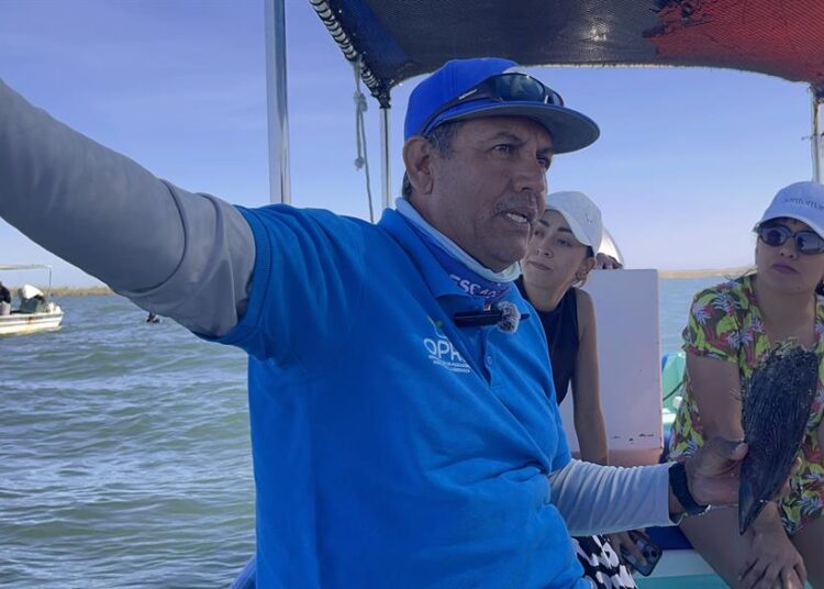 El golfo de California de México lucha contra la sobrepesca y la contaminación