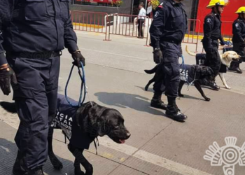 Despide SSP con honor a ‘Dana’, ejemplar canina de Bomberos