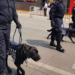 Despide SSP con honor a ‘Dana’, ejemplar canina de Bomberos