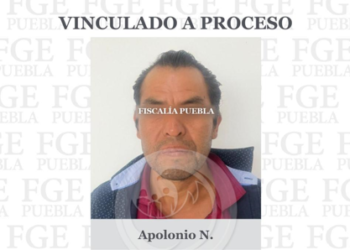 FGE obtuvo vinculación a proceso por maltrato a una mula