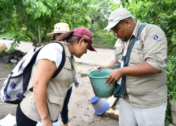 Suman 23 nuevas personas hospitalizadas por dengue: Salud