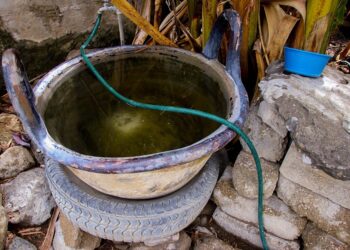 Reportan 22 casos de dengue