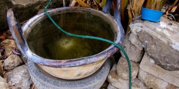 Reportan 22 casos de dengue