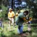 Destinarán 300 mil plantas a la Mixteca para reforestación
