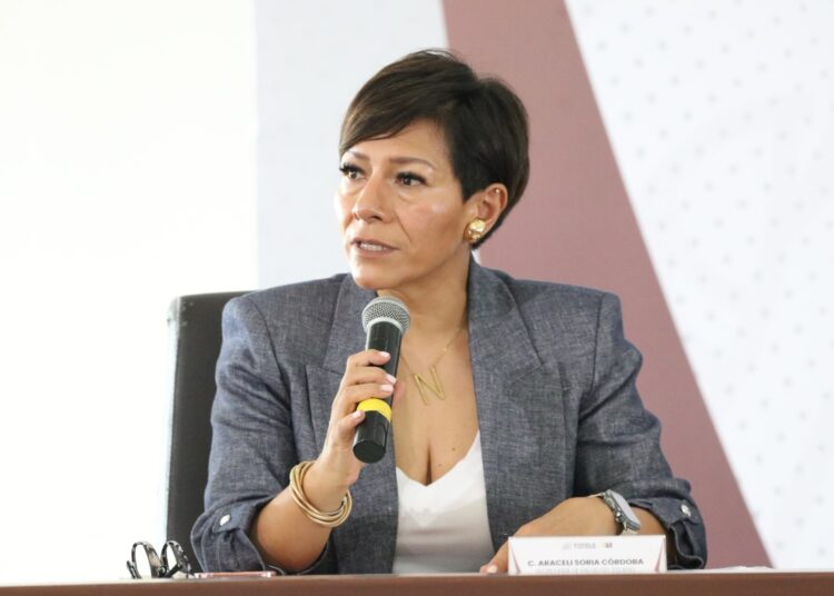 Beneficiará ‘Plan de reforestación 2024’ a 100 municipios: Medio Ambiente