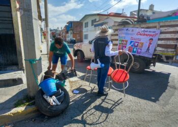 Reportan 10 casos de dengue