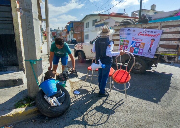 Reportan 10 casos de dengue