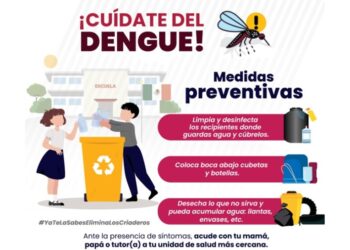 Tehuacán ingresa a lista de municipios con más casos de dengue