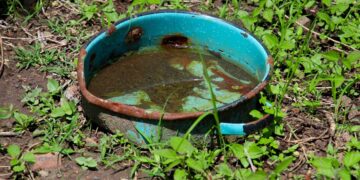 Reportan 94 casos de dengue en últimas 24 horas