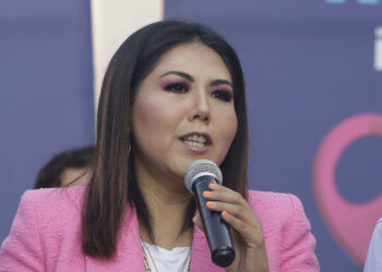 PAN tiene que ir solo en la próxima elección para volver a ganar