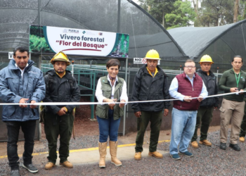 Vivero “Flor del Bosque” producirá 200 mil plantas anualmente: Medio Ambiente
