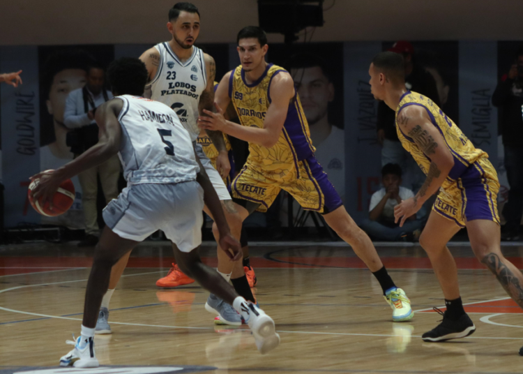Lobos Plateados debuta con victoria en la LNBP 2024