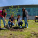 Reforestarán perímetro de Ciudad Judicial Siglo XXI