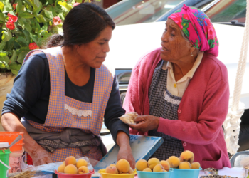En 2025, mujeres de 60 a 64 años indígenas y afromexicanas recibirán 3 mil pesos: Sheinbaum
