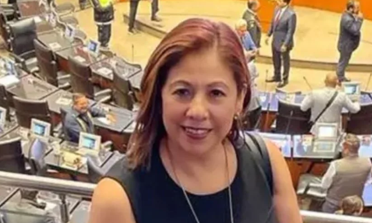 Bancada del Verde apoyará a Laura A. García para que sea la próxima presidenta del Congreso