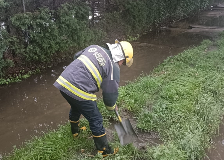 Laguna de San Baltazar se desborda, además se cae árbol en San Jorge