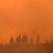 Más de 4 mil 800 bomberos combaten el peor incendio de California de 2024