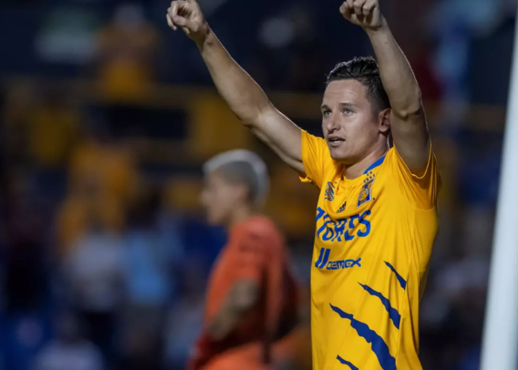 Ganan millonaria demanda contra el equipo Tigres