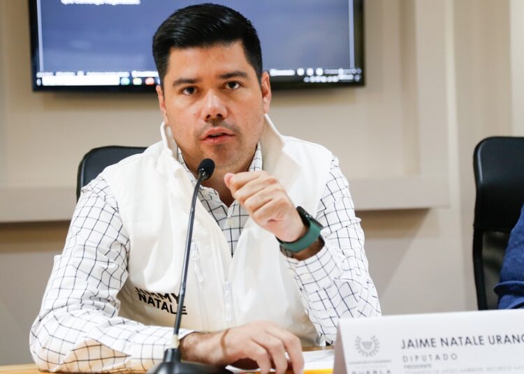 PVEM defenderá su triunfo en Texmelucan