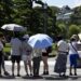 Japón, en alerta por temperaturas de hasta 39º