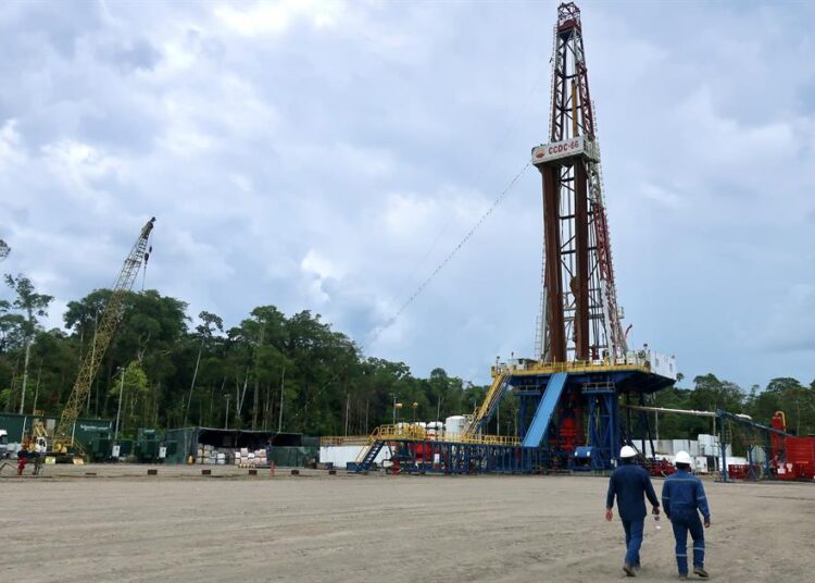 Desarrollan en Argentina una ‘biomanta’ para proteger el suelo de derrames de petróleo