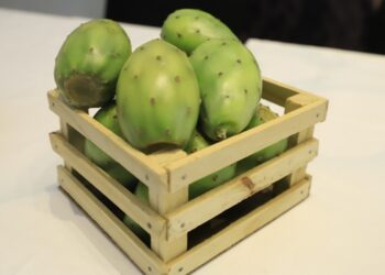 Invita gobierno estatal a Feria de la Tuna y Nopal de San Sebastián Villanueva