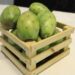 Invita gobierno estatal a Feria de la Tuna y Nopal de San Sebastián Villanueva