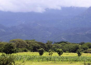 Honduras contará con un nuevo Censo Agropecuario con apoyo de la Unión Europea
