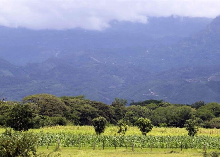 Honduras contará con un nuevo Censo Agropecuario con apoyo de la Unión Europea