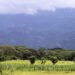 Honduras contará con un nuevo Censo Agropecuario con apoyo de la Unión Europea